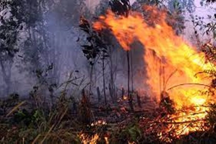 Hotspot di Pelalawan Membara, Masih Ditemukan 'Karhutla'