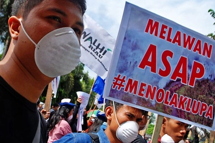 Polisi Tangkap Pelaku Pembakar Lahan, Walhi Minta Ungkap Juga Nama Perusahaan yang 'Terlibat'