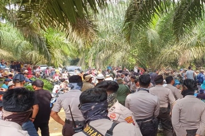 Putusan MA Eksekusi Lahan Sawit Petani Gondai 'Ricuh', Nurul Huda: Kita Minta dapat Peninjauan Kembali
