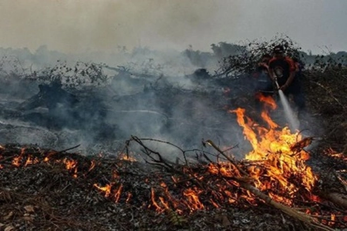 Api Masih Membara di Meranti, Bengkalis dan Pelalawan