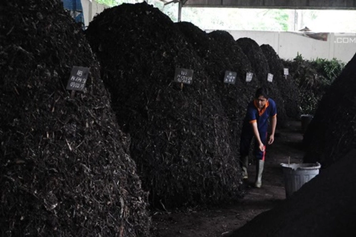 Pemerintah Dorong Petani Produksi Pupuk Organik Alami