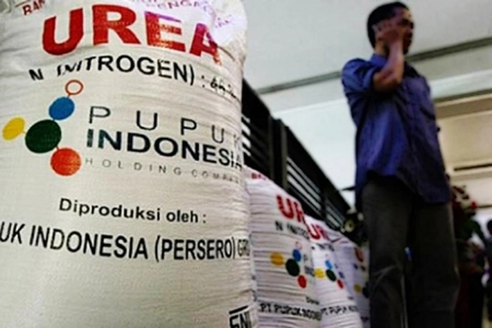 'Penyelewengan' Pupuk Subsidi Terungkap, Pelaku dan BB Diamankan