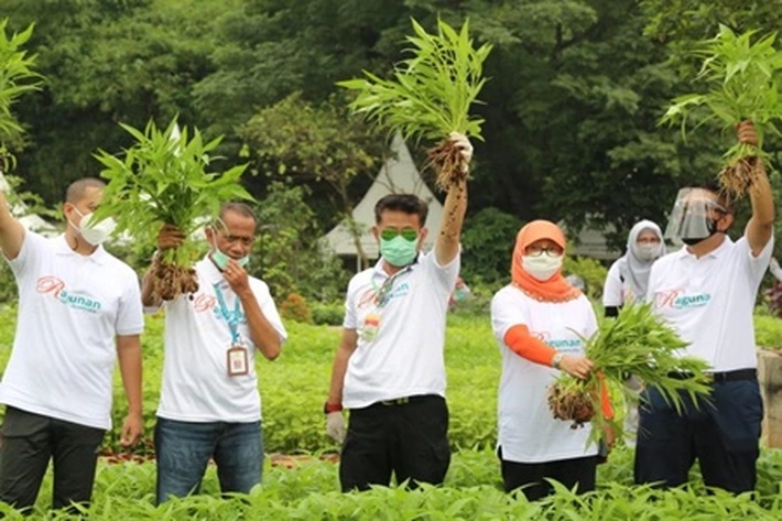 Kementan Sebut Produksi Komuditas Pangan dalam Kondisi Aman