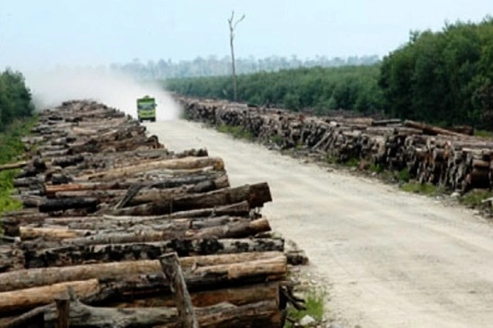 RAPP Tak Menambah Luas Lahan Tapi Tingkatkan Kapasitas Produksi, Kata DLHK Riau