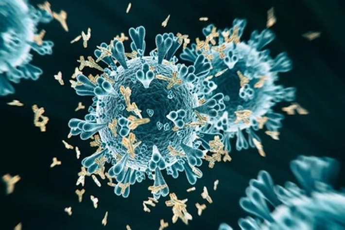  Varian Baru Virus Covid-19 'Mengembang', Prof dr Chairul Anwar Nidom: Vaksinasi Sebaiknya Dihentikan