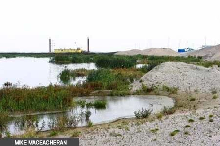 Pulau Buatan Manusia 'Untuk Alam' Bisa Menyelamatkan Masa Depan Satwa