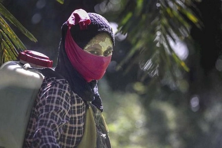 Perkebunan Sawit Swasta Harus 'Patuhi Aturan' Membangun Plasma