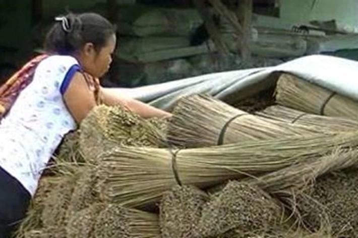 Bisnis Baru Riau Pelepah dan Lidi Sawit Bisa Dikembangkan
