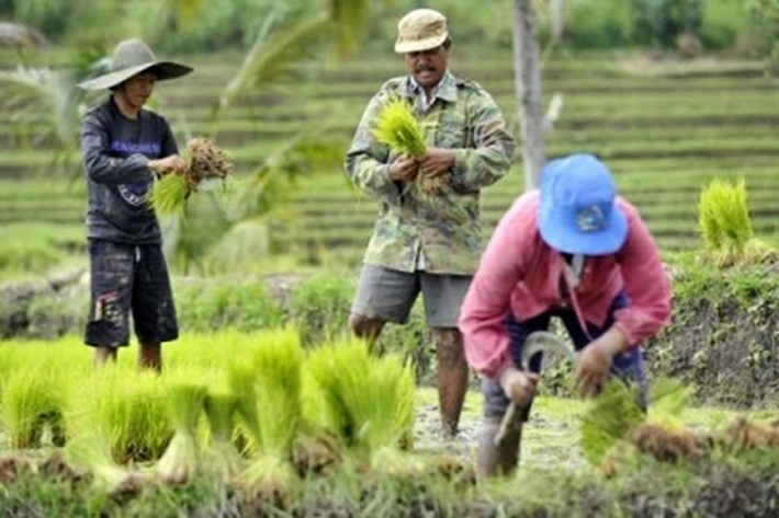 Bangsa Bisa Maju Kalau Agama dan Pertanian Bagus, Kata Mentan Syahrul Yasin Limpo