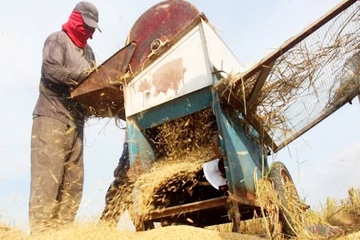 Kementan Kawal Ketat Proses Penyerapan Gabah Hasil Panen Petani