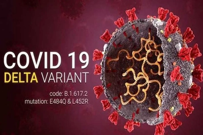 Penularan Varian Delta Mulai Mendominasi, Epidemiolog: Pemerintah Harus Antisipasi