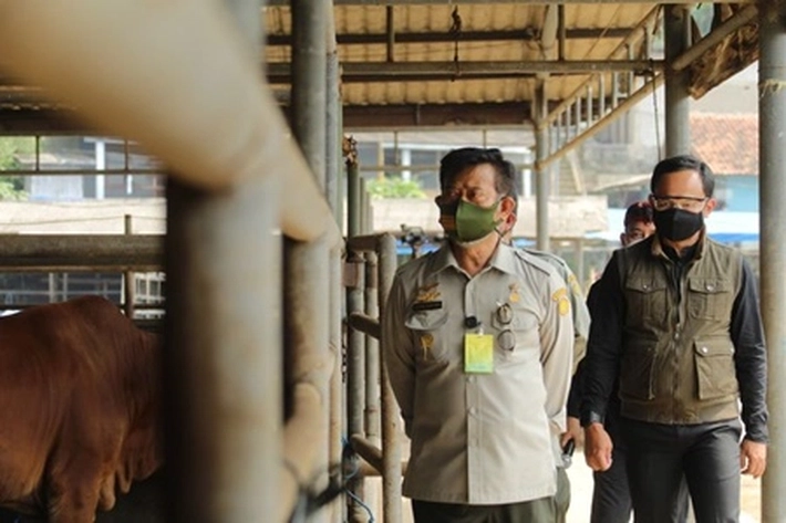 Kementan Siapkan 1,7 Juta Ekor Hewan Kurban di Idul Adha 1442 H