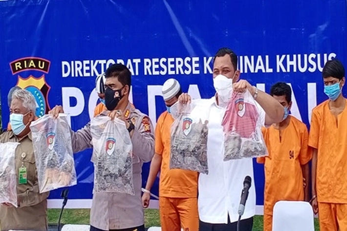 Direktorat Reserse Kriminal Khusus Polda Riau Bongkar Kejahatan Perdagangan Ilegal Hewan Dilindungi