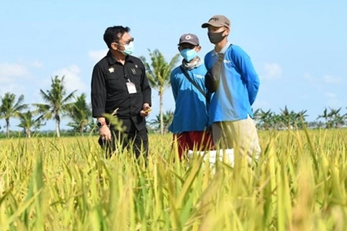 Mentan SYL Mampu Bangun Pertanian, Praktisi: Program Pembangunan di Masa Pandemi Berhasil