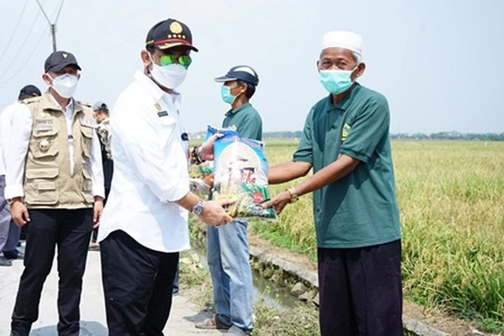 Kementan Syahrul Yasin Limpo Pastikan Stok Beras Hingga Akhir Tahun Aman
