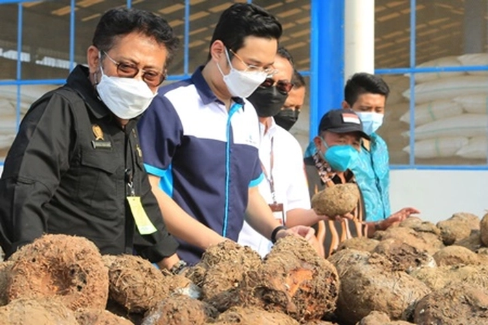 Kementan: Eksportir Produk Pertanian Belum Disiplin Terhadap Tuntutan Pasar Global
