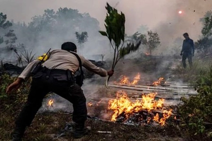 Sejak Januari Hingga Agustus 2021 Polda Riau Tangani 20 Kasus Karhutla