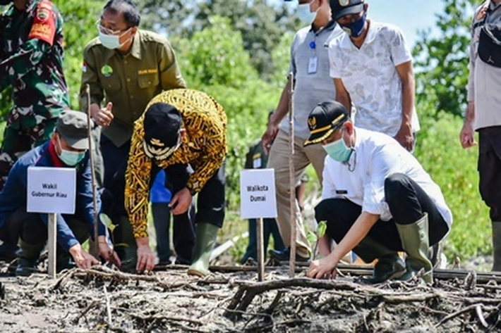 Walikota Paisal Dampingi Wagubri Tanam Mangrove di Pantai Basilam Baru Dumai