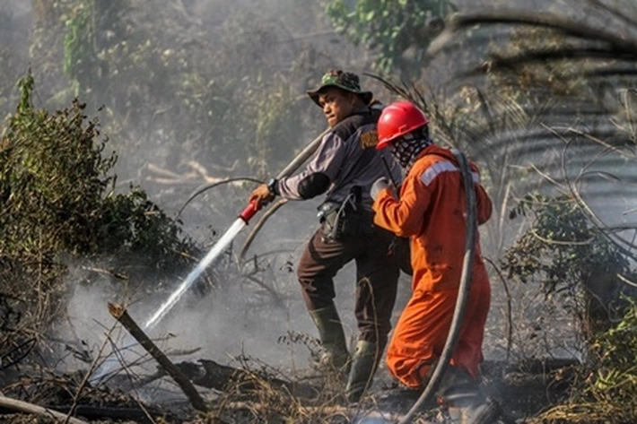 Tim Manggala Agni Daops Sunter IV dan BPBD Padamkan Karhutla di Tiga Titik