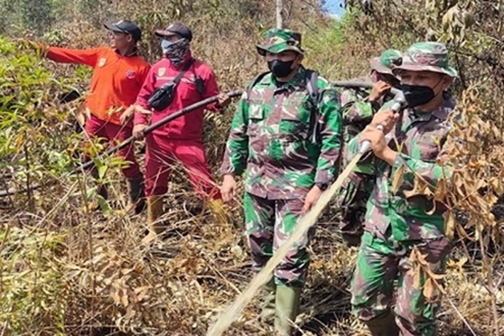 Titik Api Muncul di Lahan Gambut yang Hangus Terbakar