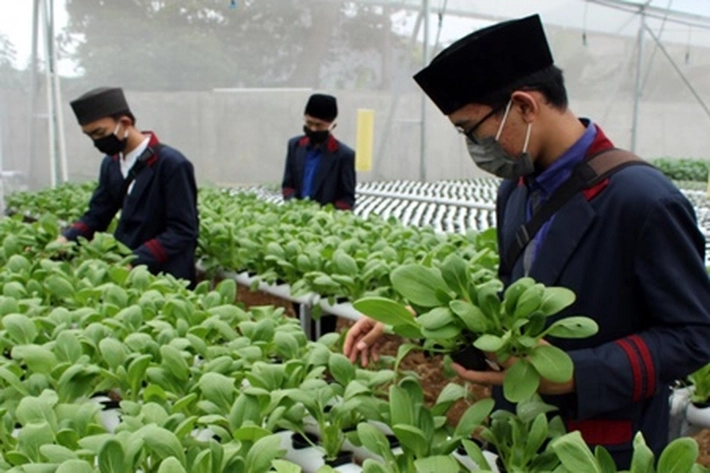 Pesantren Didorong Meningkatkan Produk Pertanian