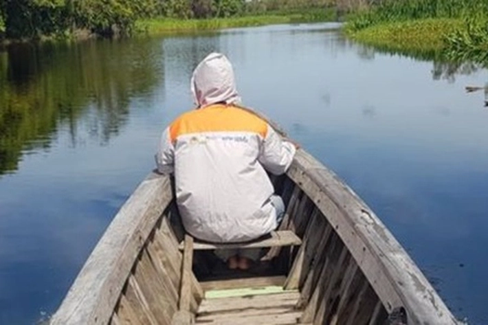 Alam Liar dan Hutan Mangrove di Inhil, Punya 'Lutung' yang Hampir Punah