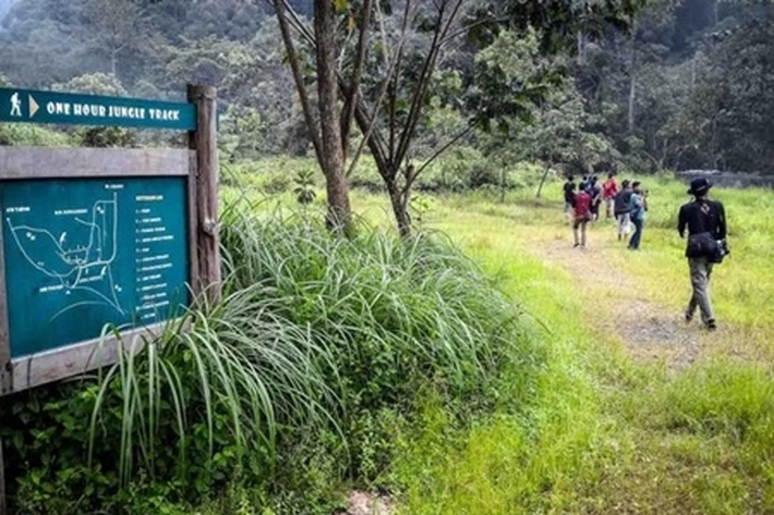Warga 'Gantungkan Kehidupan Ekonomi' di Hutan TNBT yang Masih Alami
