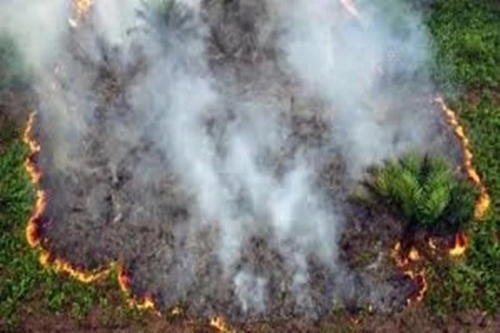 65 Hotspot Terdeteksi, DPRD Riau: Masyarakat Jangan Bakar Lahan Guna Antisipasi Terjadinya Karhutla