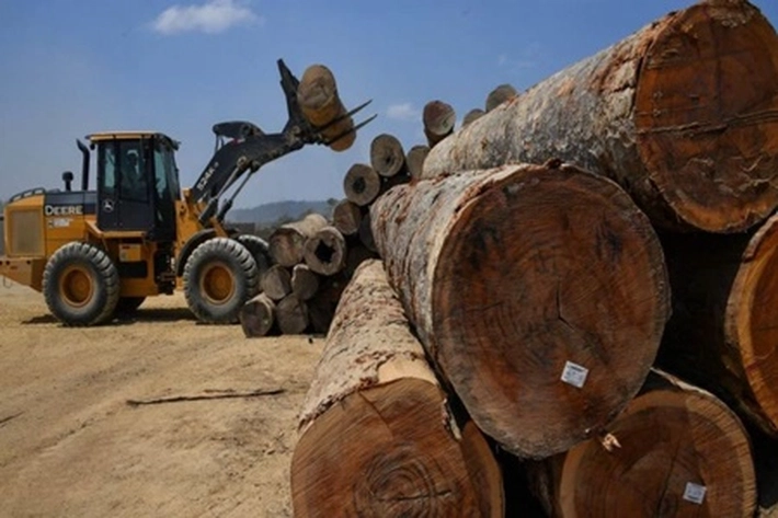 HSBC Mendanai 6 Perusahaan Menghancurkan Hutan Indonesia, Aktifitasnya 'Merampas Lahan Rakyat Dijadikan Kebun Kelapa Sawit'