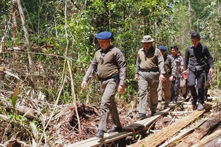 Kapolda Riau Ingatkan Pentingnya Jaga 'Keseimbangan Alam', Usai 'Menangkap Pembalak Liar di Hutan Cagar Biosfer'