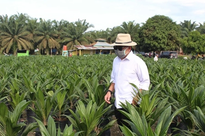 Petani akan Memperoleh Keuntungan dari Program Sertifikasi, Kata CEO PTPN V Jatmiko K Santosa