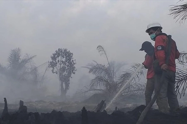 Karhutla Kembali Ancam Riau, 202 Titik Panas Terdeteksi di Pulau Sumatera