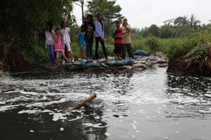 Dilema Kegiatan Manusia: Sungai Kampar dan Pelalawan Tercemar, Adakah Upaya Pemulihan?