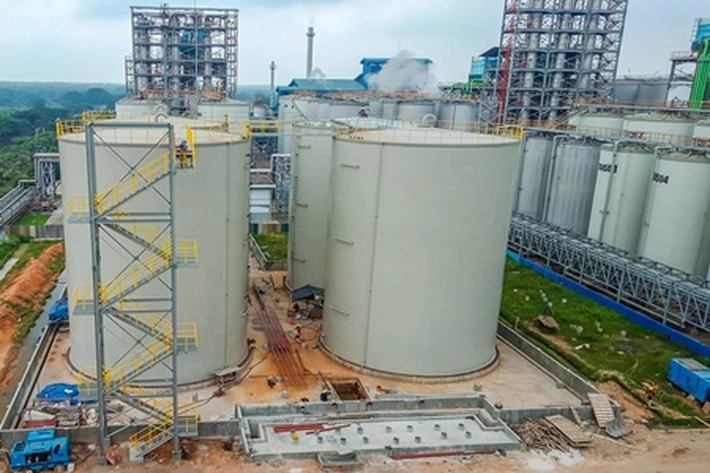 PT Wilmar Grup 'Tidak Miliki Izin' Mendirikan Pabrik Pupuk di Kawasan Industri Dumai