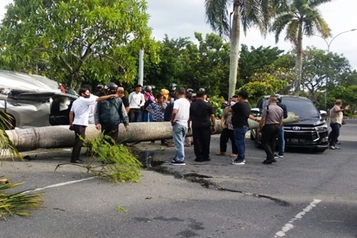 Dua Mobil Mewah Jadi Korban Pohon Tumbang saat Angin Kencang