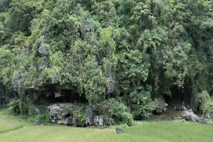 Menelisik Lukisan Figur Hewan Tertua Dunia, 'Diantara Perbukitan yang Tersembunyi'