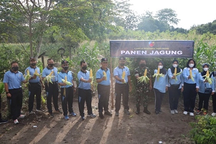 Lanud Rsn Panen Jagung dan Bawang Merah, Untuk 'Mendukung Ketahanan Pangan'