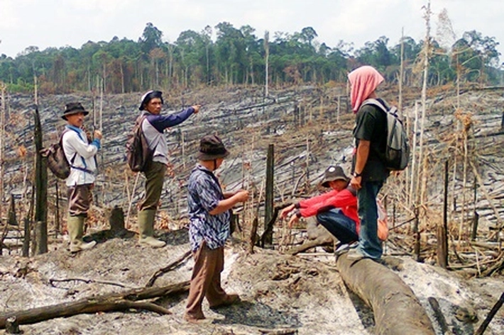 Kepala Balai TNTN Keluarkan Aturan Baru, Sebab 'Hutan Neraka Bagi Satwa Liar Sudah jadi Kebun Sawit'