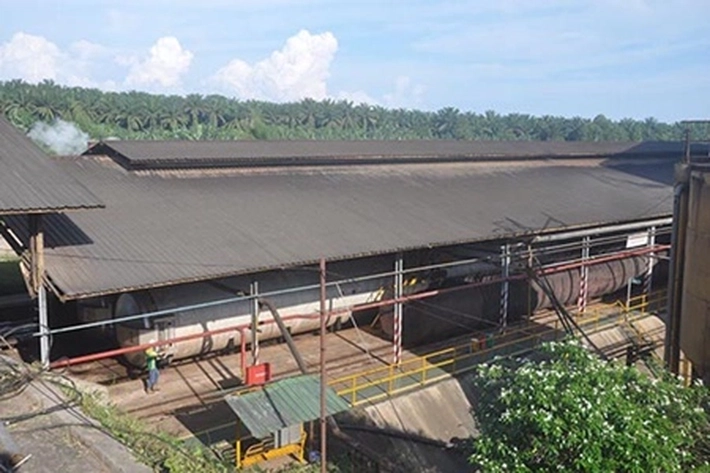 Pabrik Kelapa Sawit di Data, Disbun Riau: 'Harga TBS Jangan Diturunkan, yang Macam-macam Bakal Ditindak'