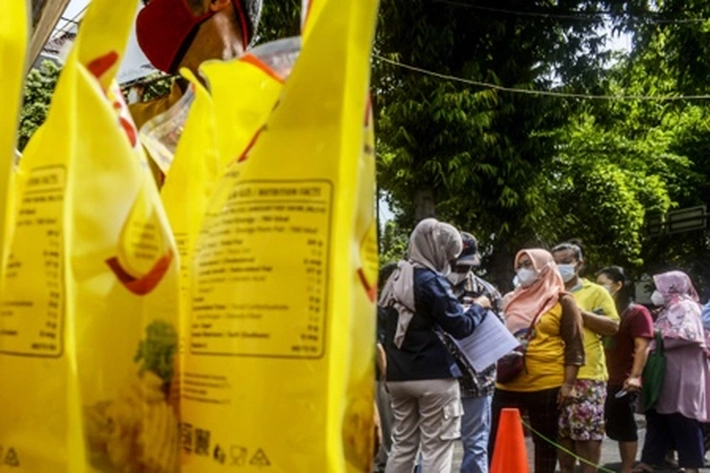 Sempat Turun Dua Hari, Harga Minyak Goreng Terus Melesit, 'Bakal Terus-terusan Mahal'