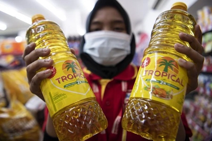 Masalah Minyak Goreng Mahal Belum Juga Terselesaikan