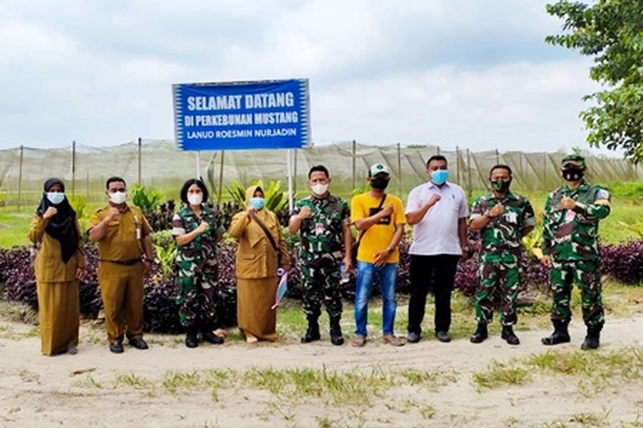 Dinas PTPH Provinsi Riau Kunjungi Kebun Mustang Lanud Rsn