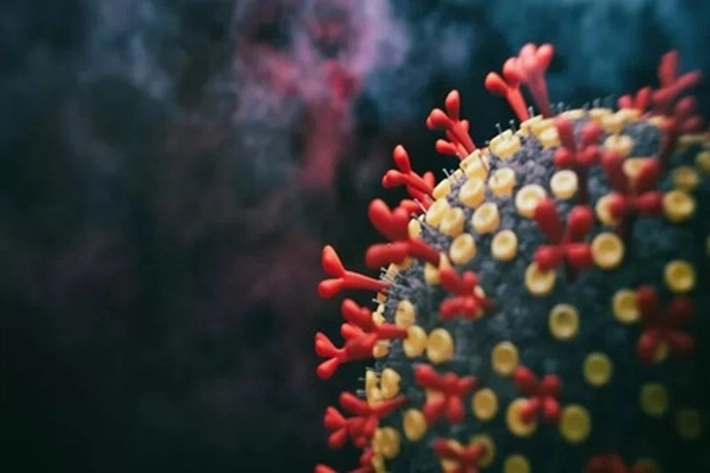 Beberapa Negara Yakin Pandemi Virus Corona akan Menjadi Endemi