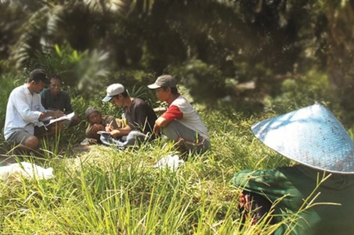 1,8 Juta Hektare Kebun Sawit Terindikasi Ilegal dalam Kawasan Hutan, 'untuk Menanganinya akan Dibuat Opsi Baru'