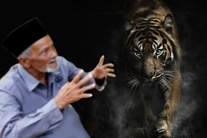 Kisah Kakek Tua di Inhu Bisa 'Bikin Harimau Nurut', 'Tapi Hidupnya jadi Terlunta-lunta'