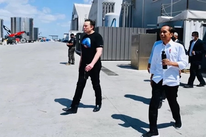 Presiden Jokowi 'Tarik Bos Tesla', Tapi 'Walhi Merasa Keberatan dengan Investasi Nikel'