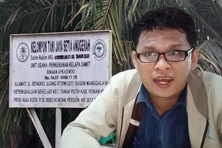 Kala Kawasan Hutan Produksi Berganti jadi Kebun Sawit, KNPI Riau: 'UU Cilaka Lindungi Kebun Sawit Ilegal'