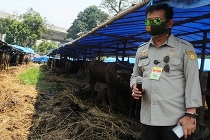 Kementan Lakukan Pengawasan Ketat Terhadap Hewan Ternak, 'yang akan Dijadikan Kurban'