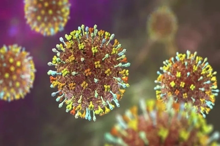  Virus Hendra Lebih Mematikan daripada Covid-19, Sudakah Menjalar ke Indonesia?