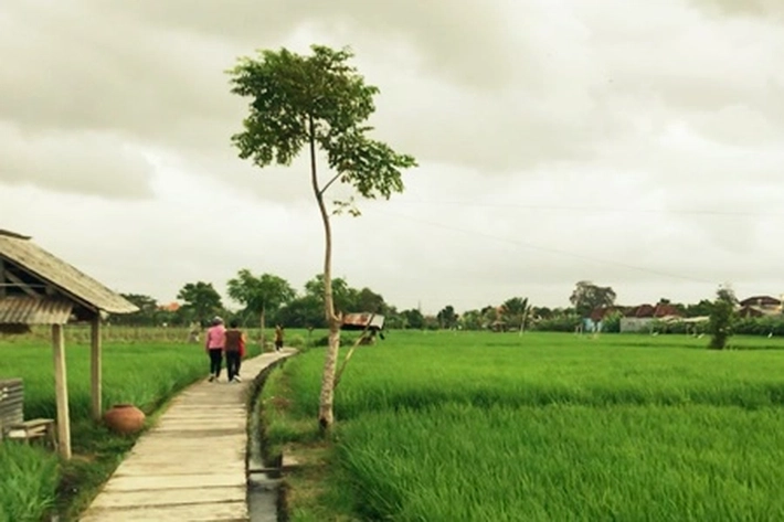 Capaian Kemajuan Desa Mandiri di Riau Diatas Rata-rata Nasional